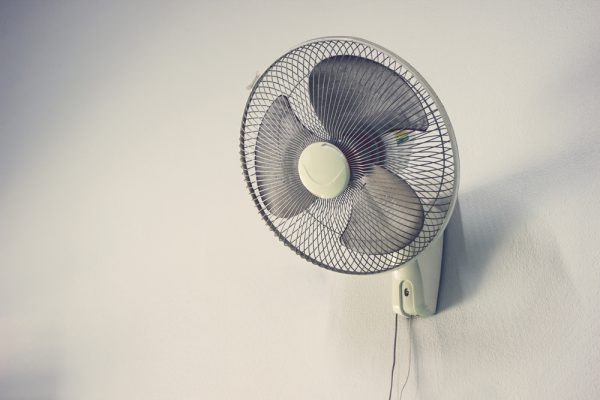 nhung-loai-quat-pho-bien-quat-treo-tuong